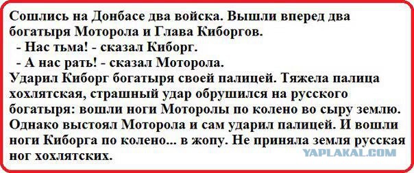 Нацист из Запорожья ликвидирован на Донбассе