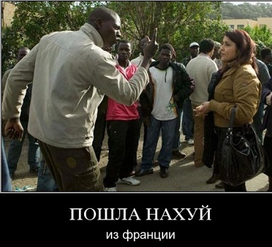 Мигранты в Европе барагозят