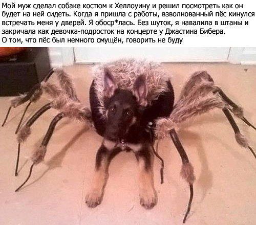 Классная игрушка