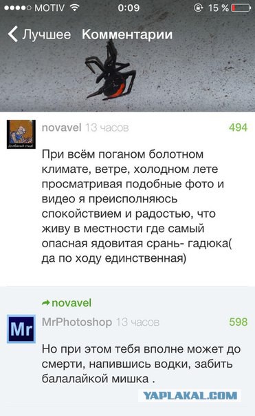 Смешные комментарии из социальных сетей