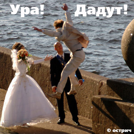 Свадьба, женихи и невесты