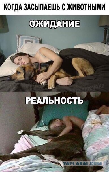 Разные картинки из сети