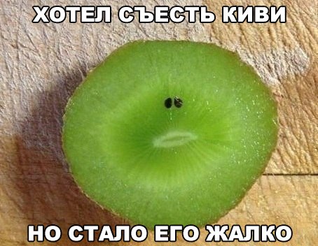 Свежая подборка картинок