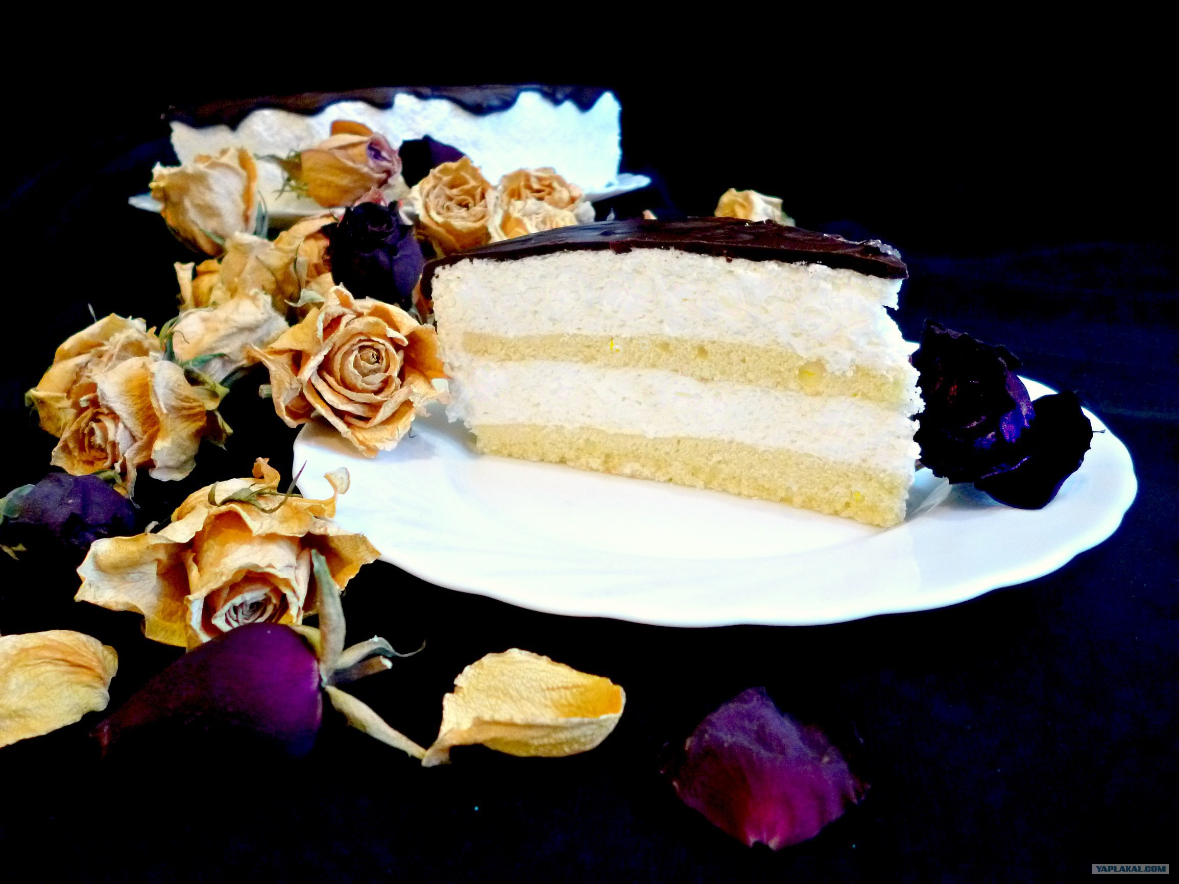 юлия смол птичье молоко. торт птичье молоко смолл. муссовый торт птичье молоко. торт «птичье молоко» 1975. торт птичье молоко смолл.