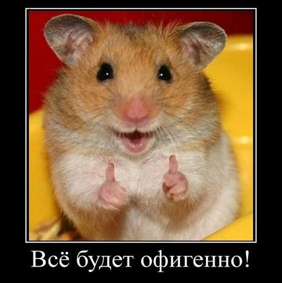 Подборка картинок 01.03.16