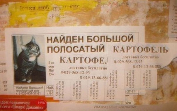 Разные вывески и надписи