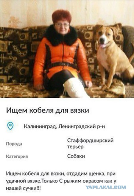 Смешные комментарии из социальных сетей 20.05.2016