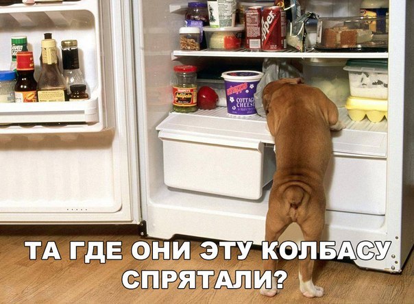 Мохнатые беспредельщики