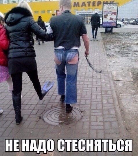Порция картинок из сети