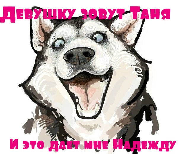 Ищу красавицу с ЯП!
