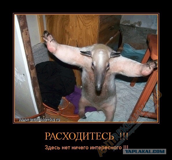 Захарова отжигает