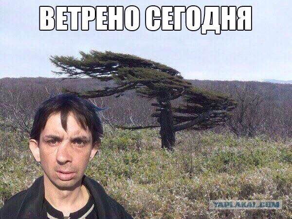 Женщина больше суток шла сквозь пургу, чтобы спасти семью