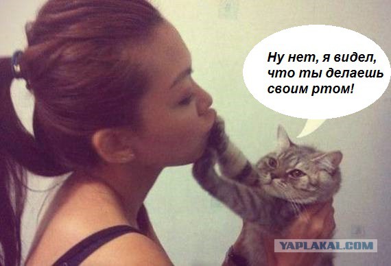 Девушки шутят или "девочки тоже умеют в юмор!"