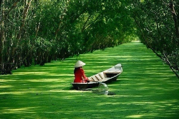 Моменты, запечатлённые на фото и просто позитив 5