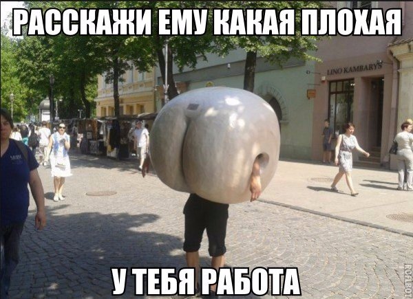 Подборка безудержного веселья