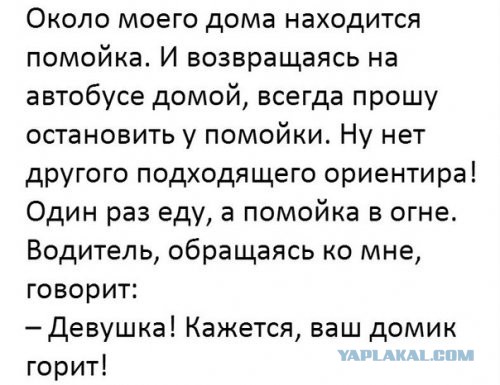 Забавные комментарии, шутки и фразы из этих ваших интернетов