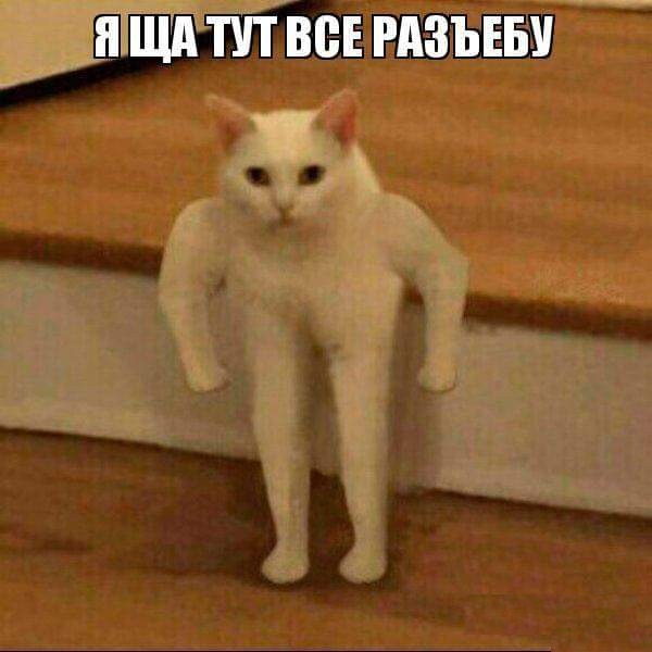 Ерундушки на четверг.