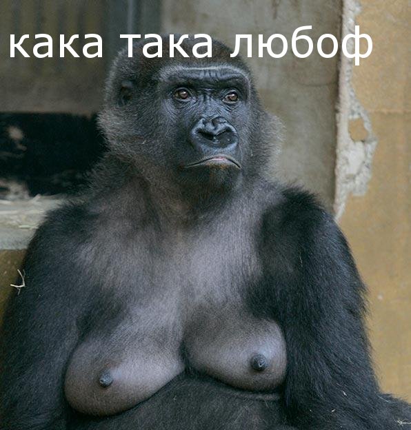 Фотокомикс: А куда ушла жена?