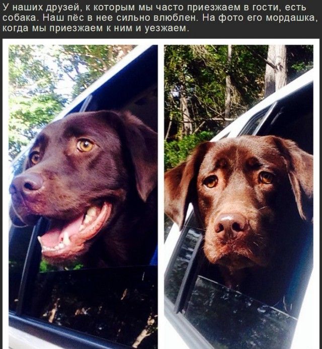 Прикольные картинки.