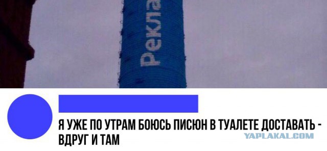 Немного картинок в этот четверг
