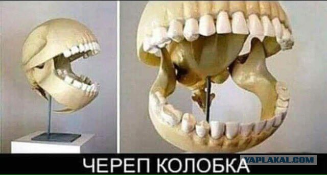 Прикольные комментарии и высказывания из Сети 23. 01.