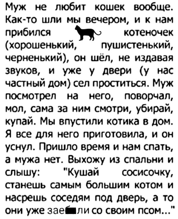 Картинки с надписями,истории и анекдоты