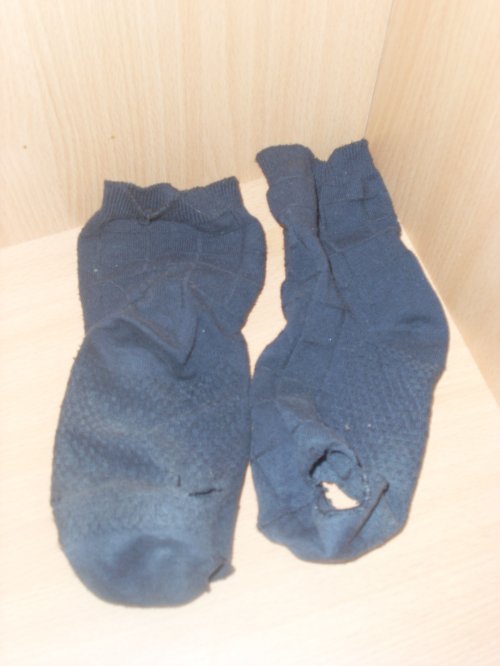 День ставок