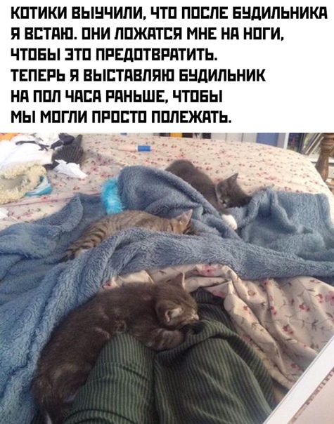 Немного картинок для настроения 29.01.20