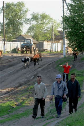 Хорошо в деревне летом