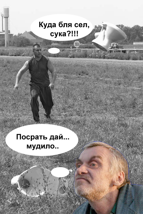 Фотожаба: Мужик и унитазы