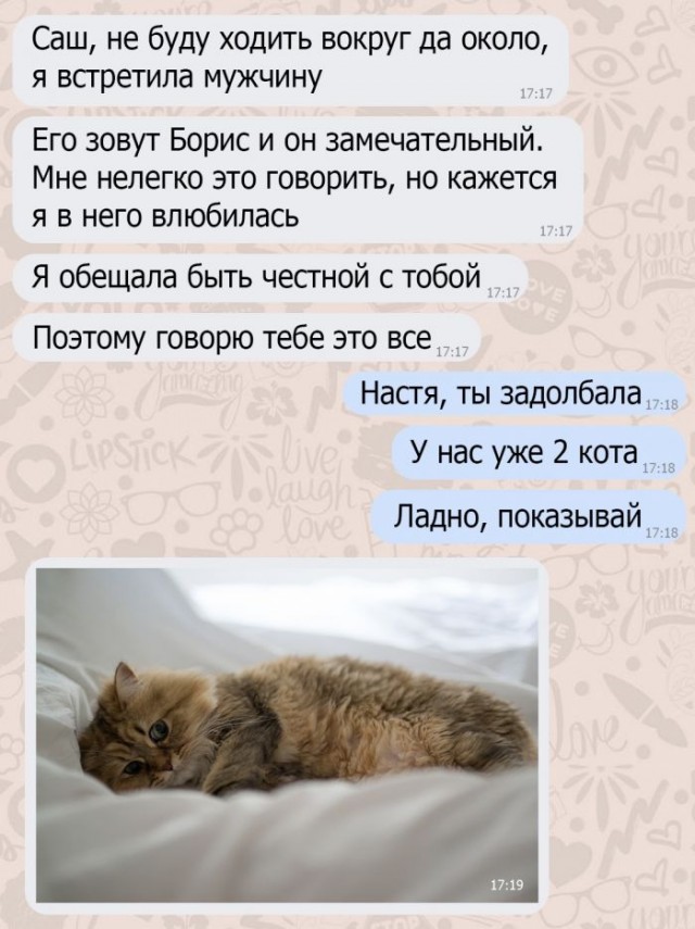 О котах и людях нетрадиционной ориентации.