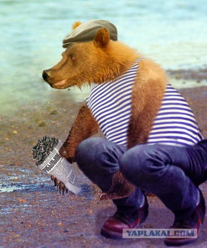 Маша-а-а!Аууууу!
