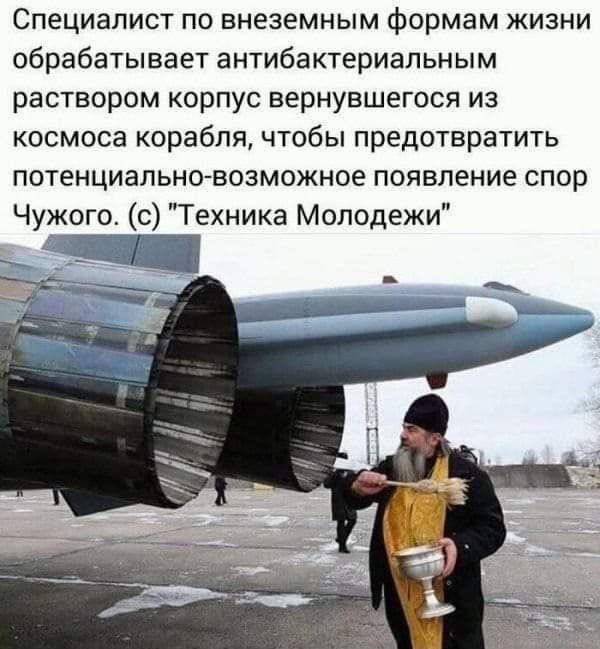 Фотки и картинки: юморные и красивые, забавные и милые 03.10.20