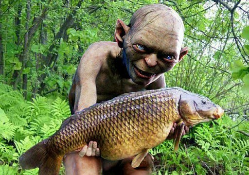 Наценки крупных торговых сетей на рыбу завышены