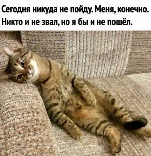 Картинки обо всëм. 07.01.20