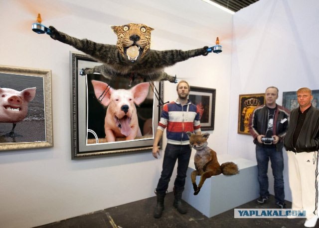 Таксидермия + наркомания