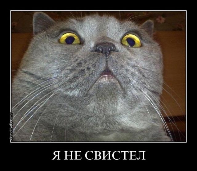 Бой Ф. Емельяненко - Д. Монсон