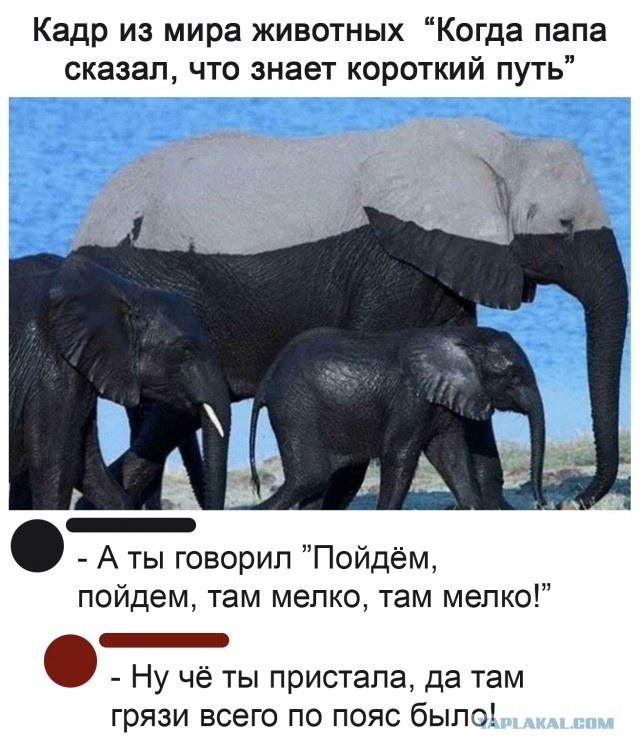 Картинки с надписями и всякие жизненные фразы 25.04.21
