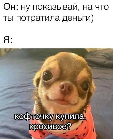 Картинки и мемы для настроения 05.08.2021