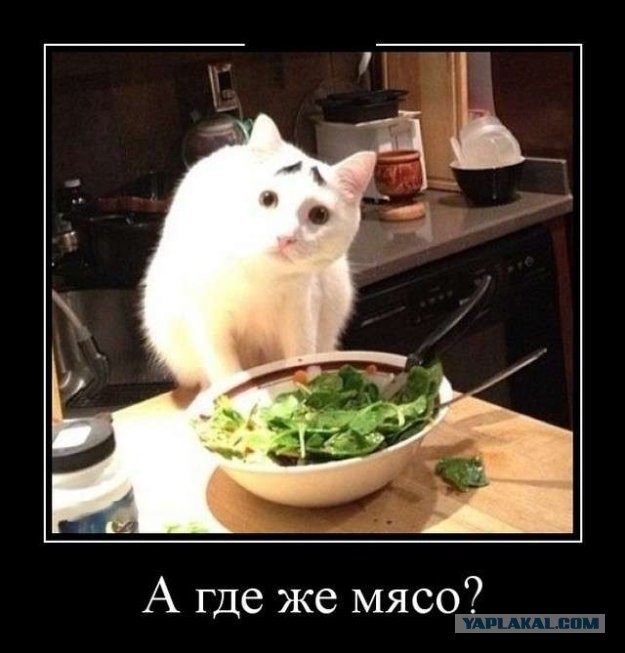 Так себе картинки 10.08.21