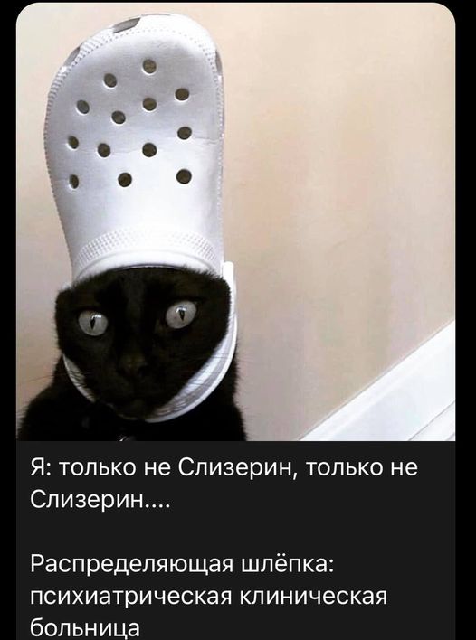 Так себе картинки 16.09.21