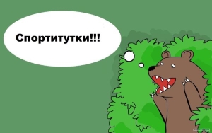 Лавров, Шойгу, Проценко и Шмелева отказались от мандатов депутатов Госдумы
