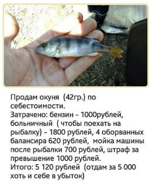 Так себе картинки 11.10.21