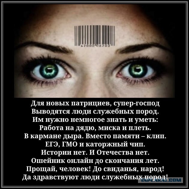 Шел 2022 год