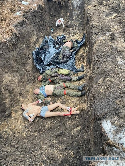⚡️Новый брифинг Минобороны России по ситуации на Донбассе на утро 8 марта