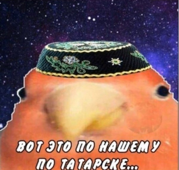 Мага Дагестану!