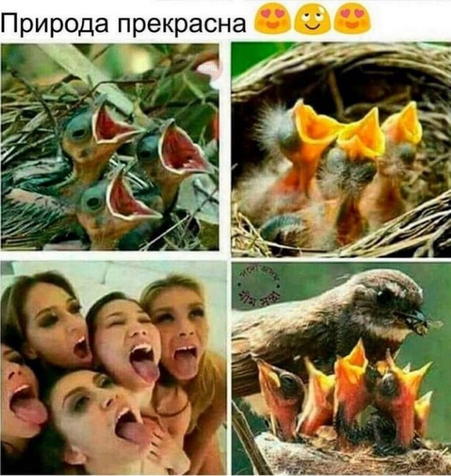 Немного мемчиков. Для взрослых 18+. Часть 3