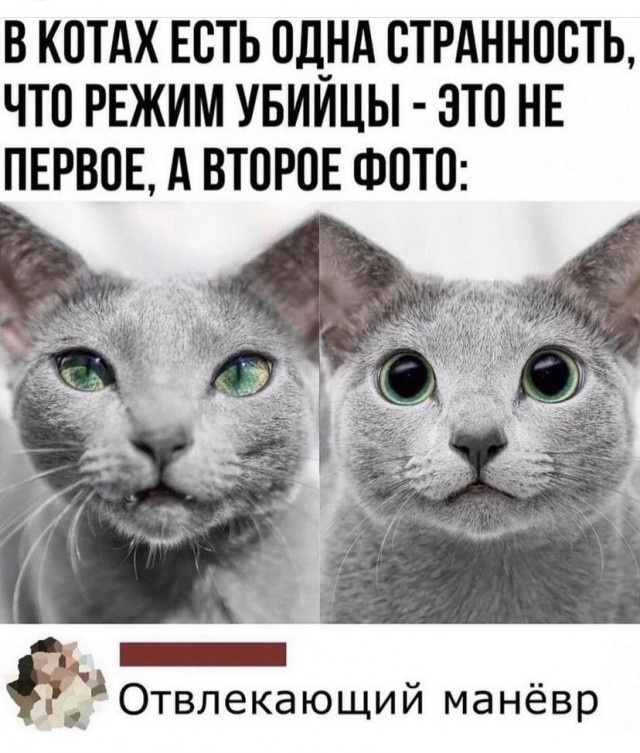 Картинки и мемы для настроения - 119