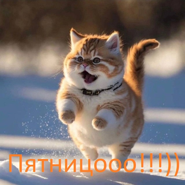 Кусочек сала с чесноком на ржаном хлебе