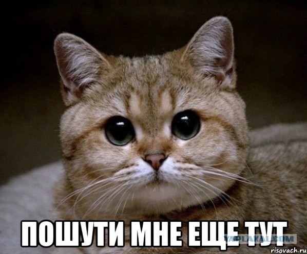 Немного картинок для настроения - 151